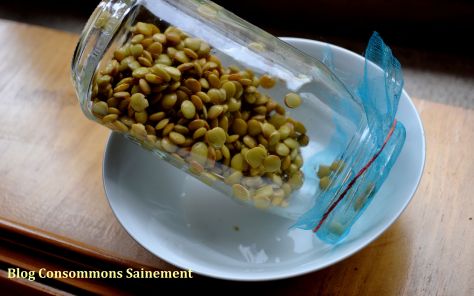 Comment réaliser des graines germées sans acheter de germoir ? Consommer  Durable